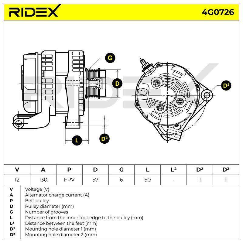 ELE-ALT-RID-CHR-NEW-0049 #4