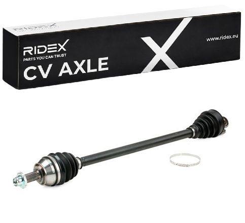 TRN-MSC-RID-VW-NEW-0226 #4