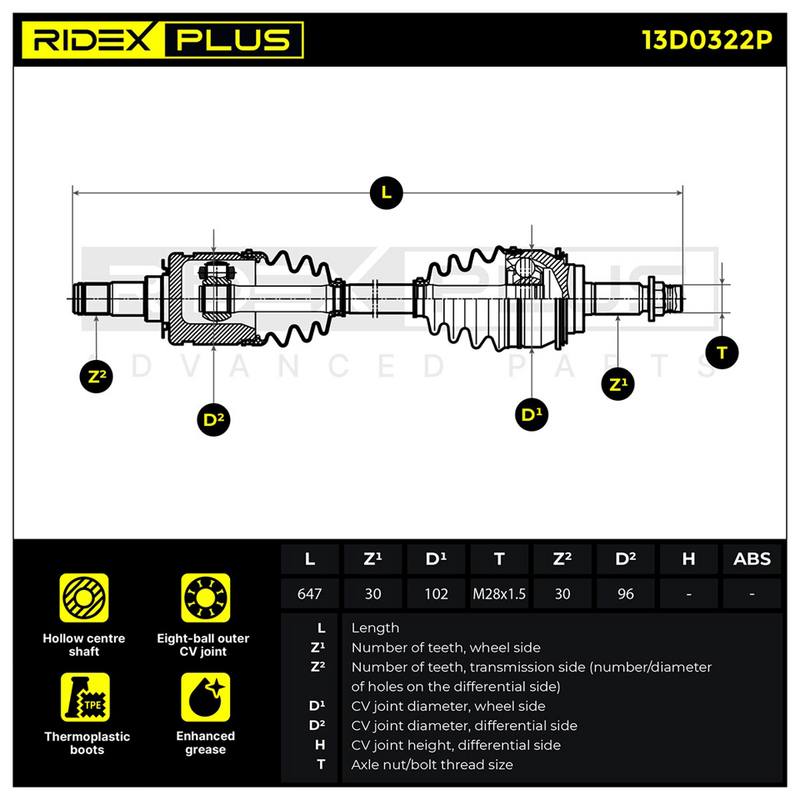 TRN-MSC-RID-TOY-NEW-0124 #2