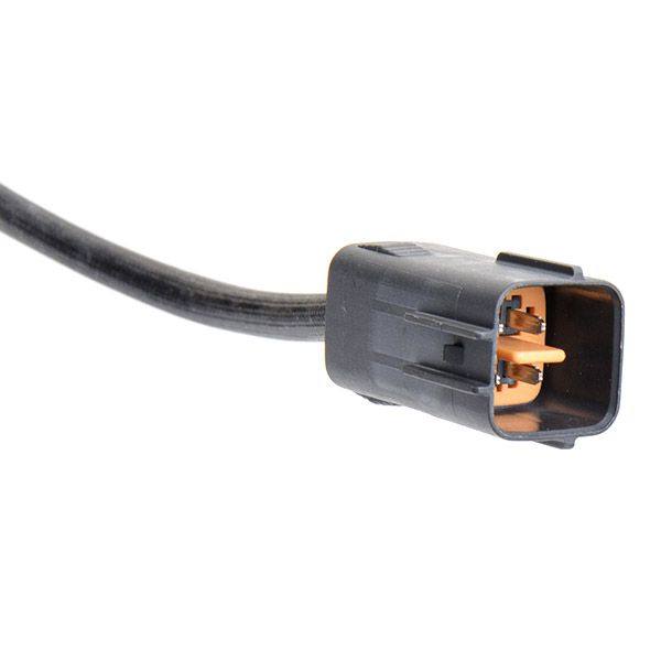 ELE-SEN-RID-MAZ-NEW-0146 #1