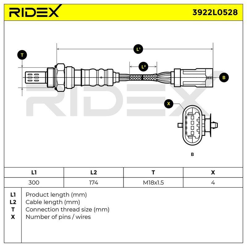 ELE-SEN-RID-REN-NEW-0095 #1