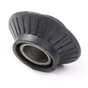 SUS-CAR-RID-VO1-NEW-0002 #1