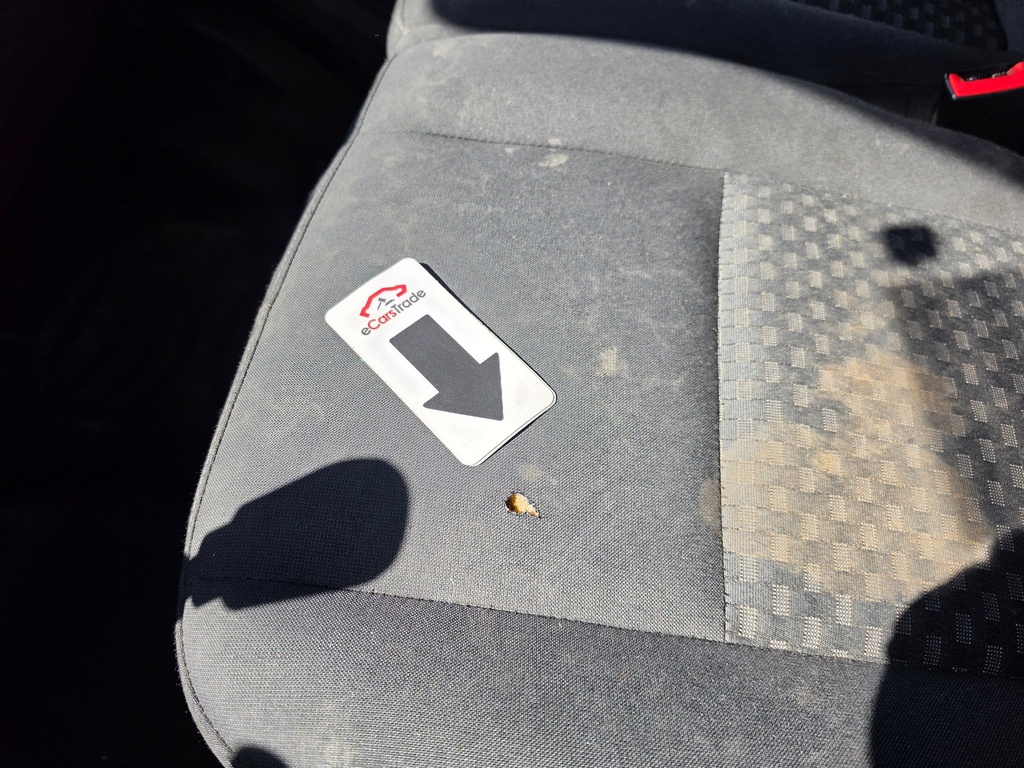 Photo 42