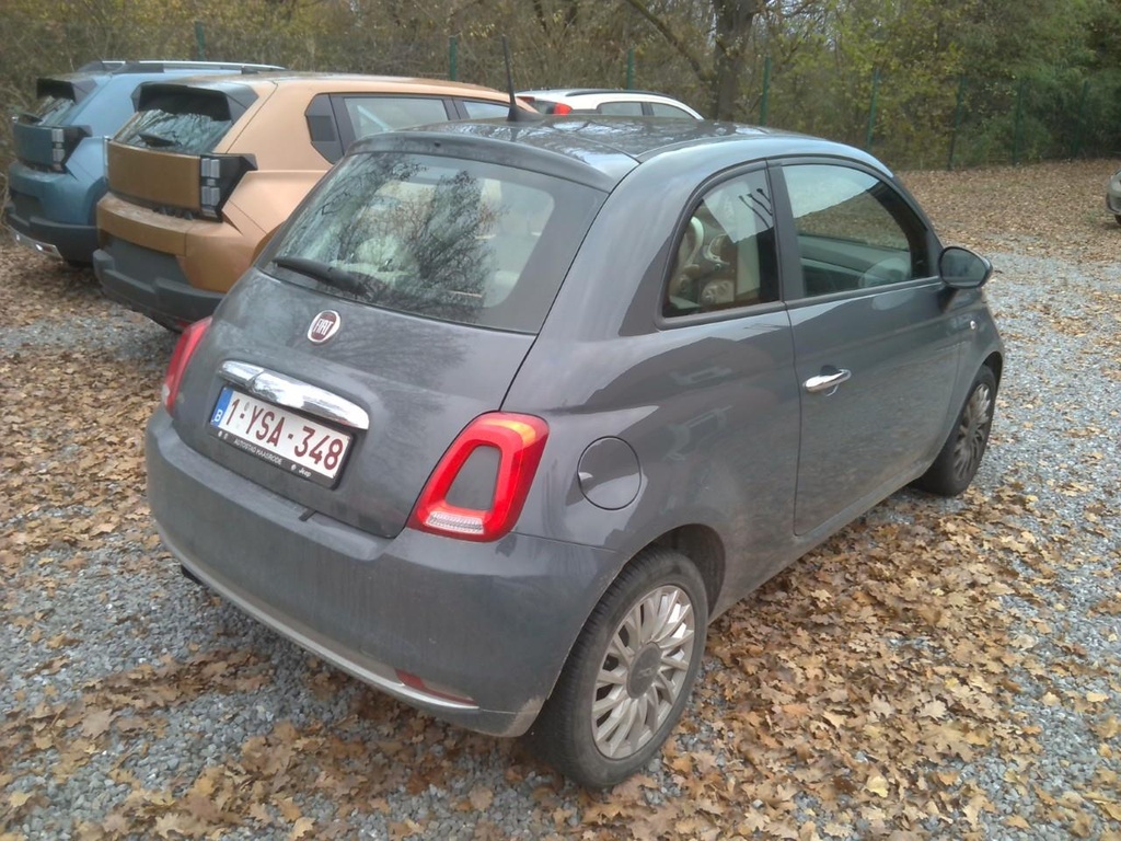 Photo 4