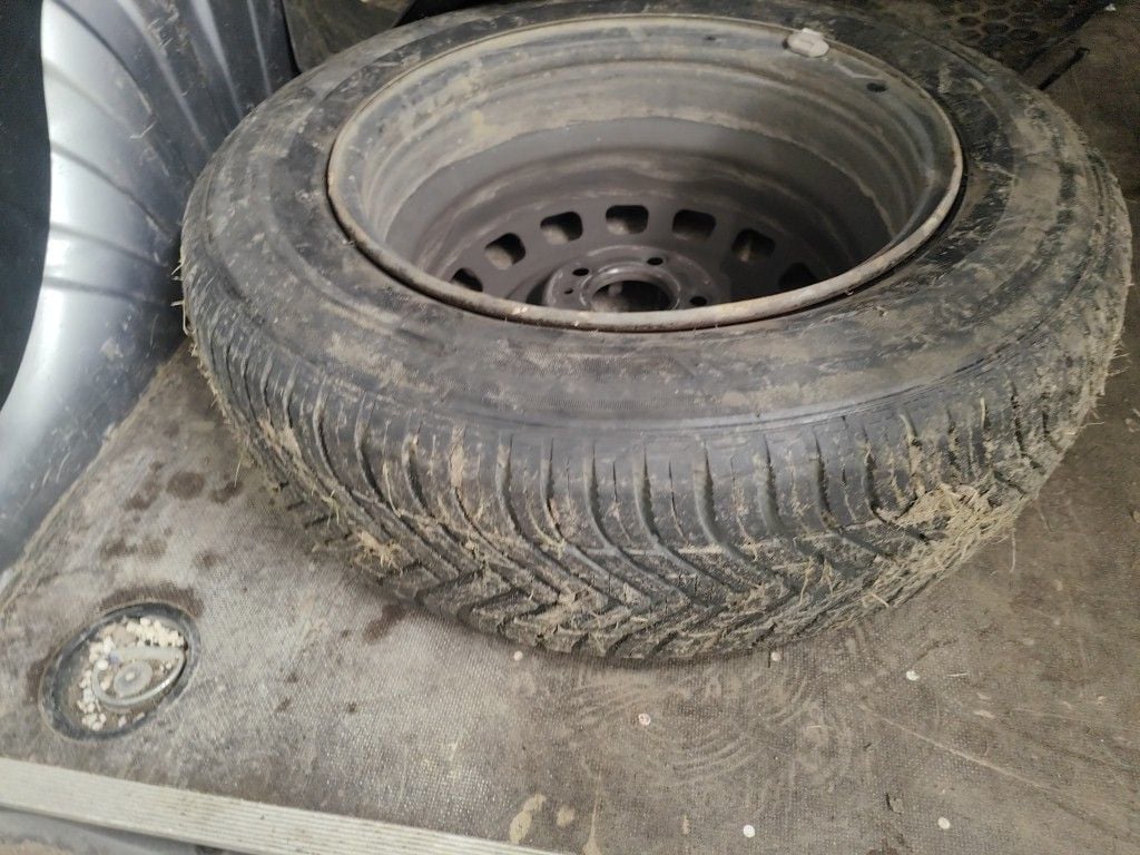 Photo 17