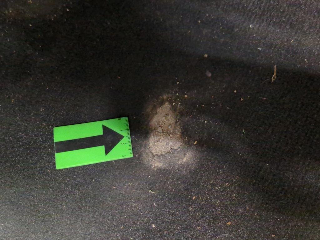 Photo 34