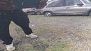 Photo 25