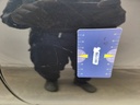 Photo 42
