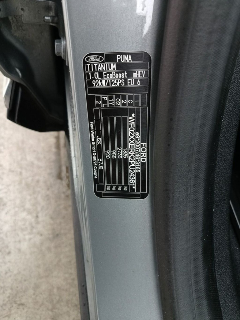 Photo 19