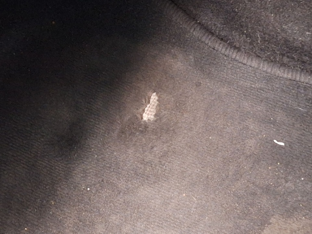 Photo 32