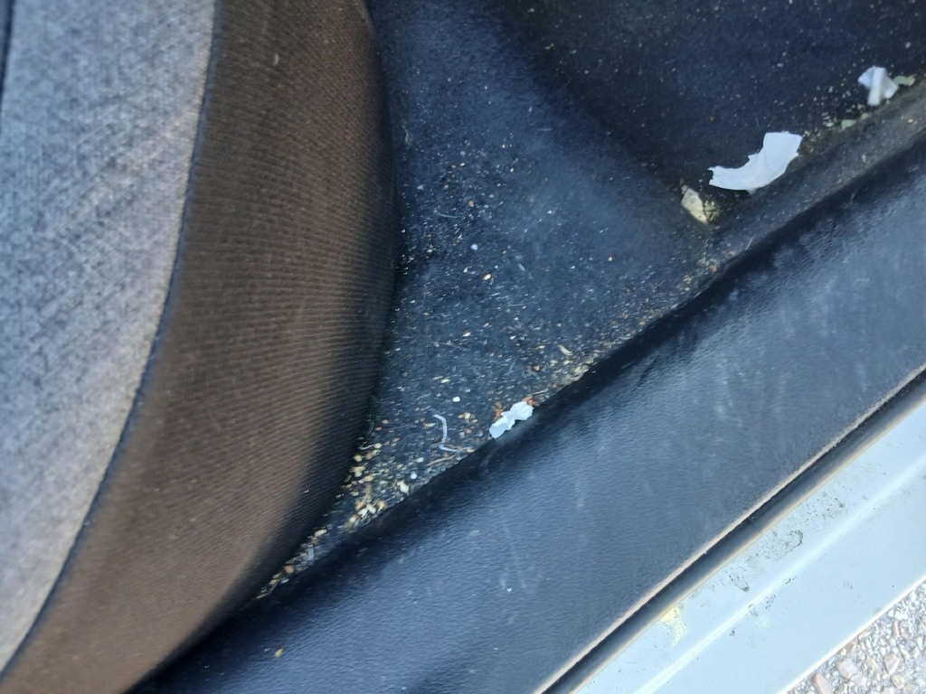Photo 48