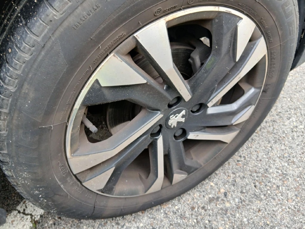 Photo 47