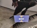 Photo 38