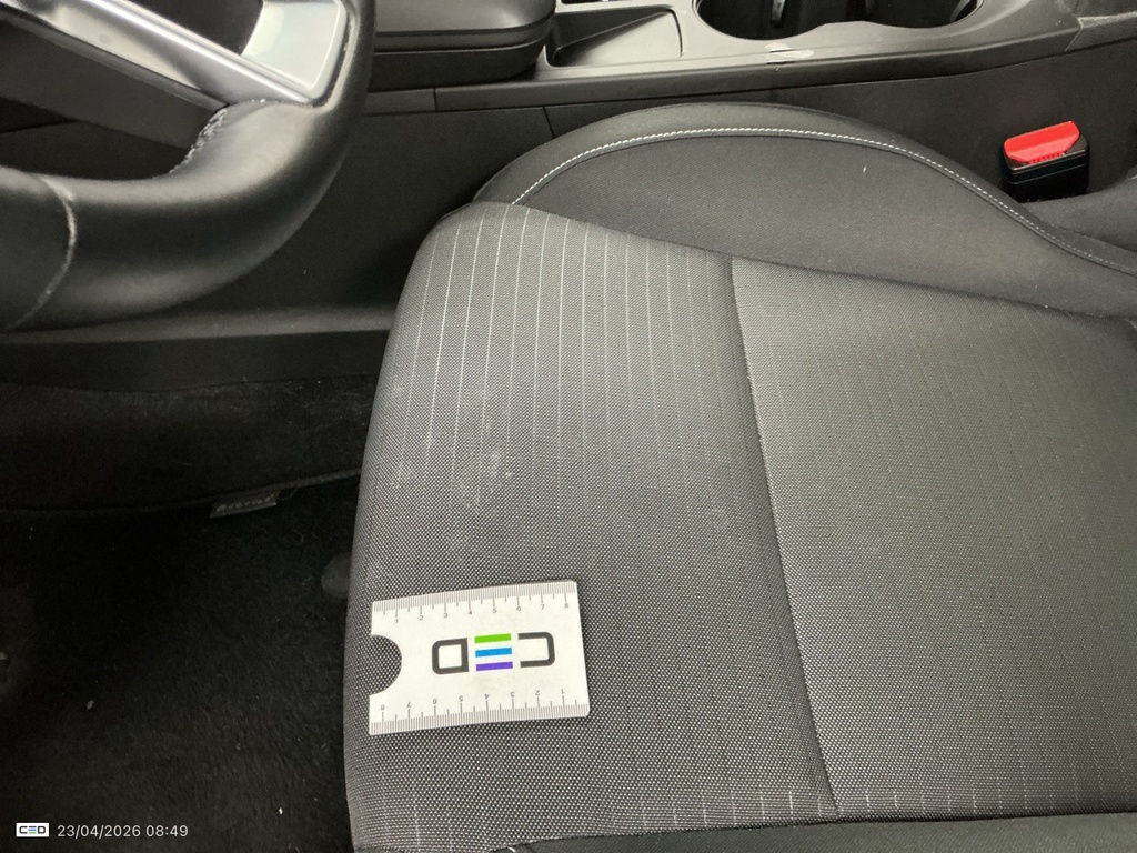 Photo 41