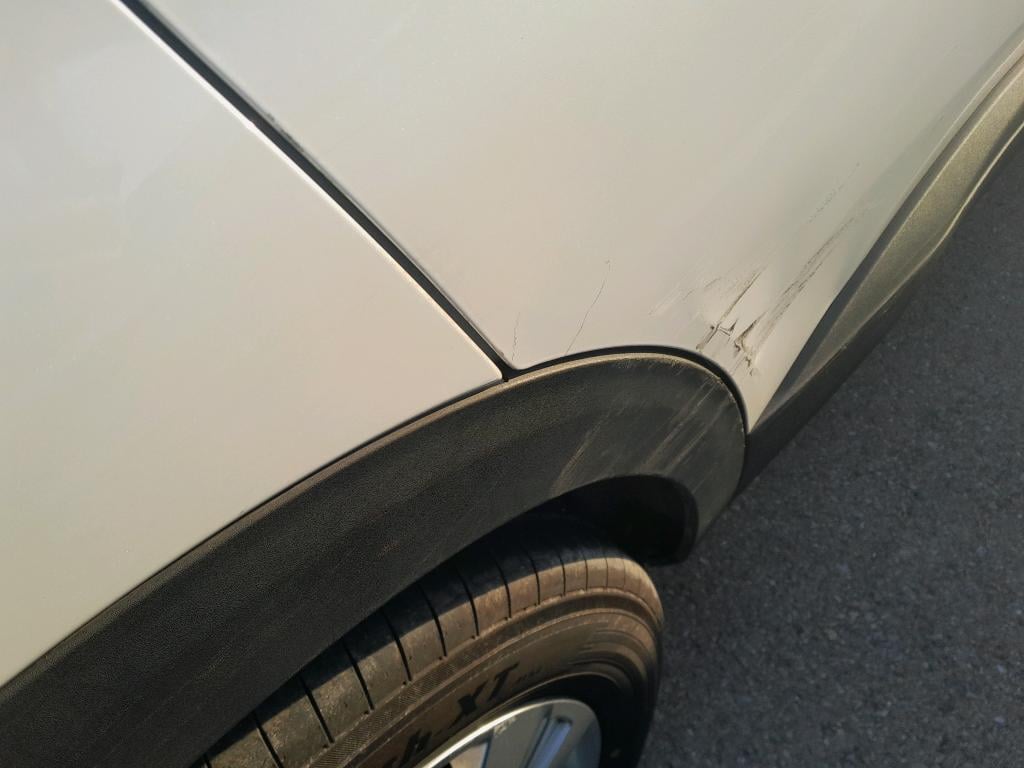 Photo 41