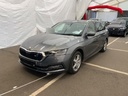 SKODA Octavia 1968.0 cc Automatic (2022)