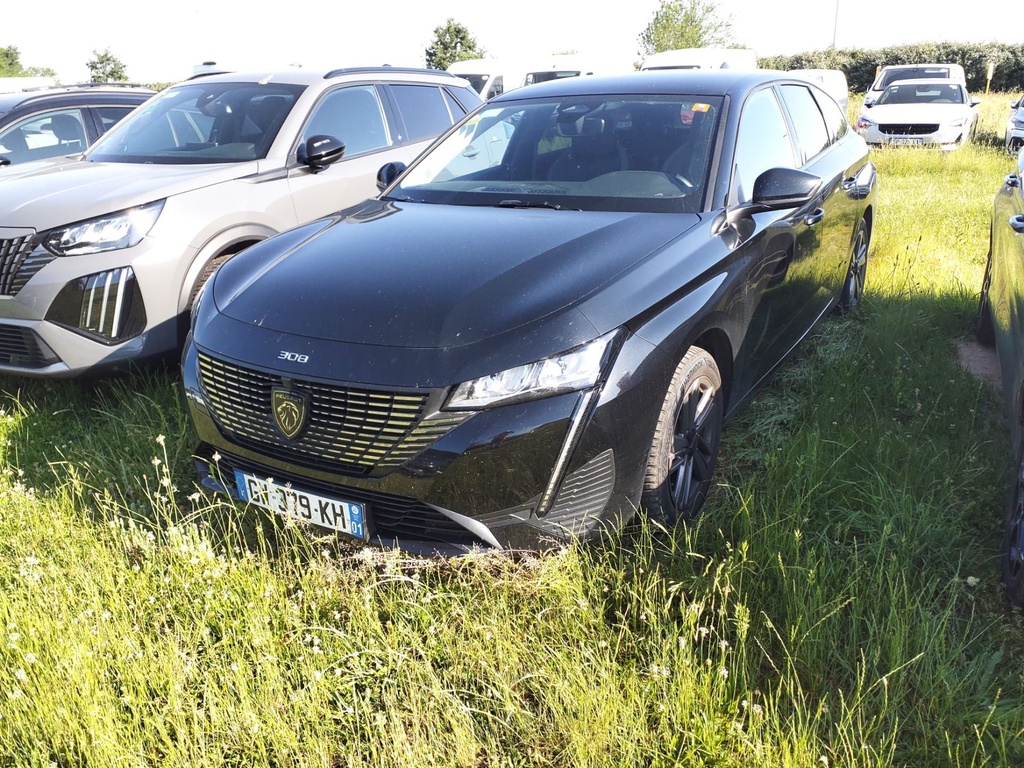 PEUGEOT 308 Automatic (2024)