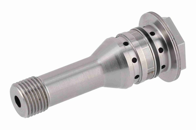Central Valve, camshaft adjustment