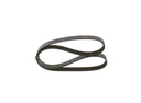V-ribbed Belt