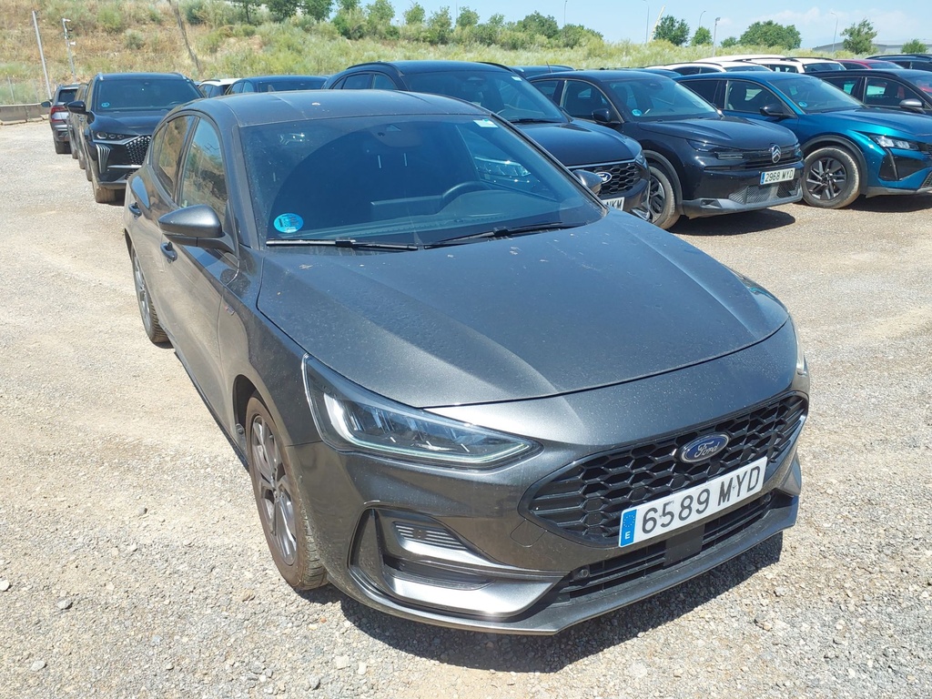 FORD Focus (Year of Construction 2025, 155 PS, Petrol)