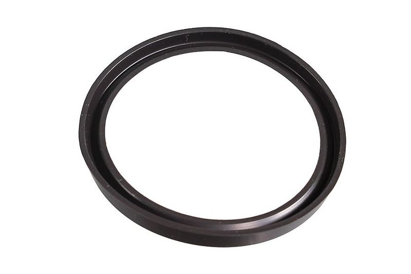 Seal Ring, charger