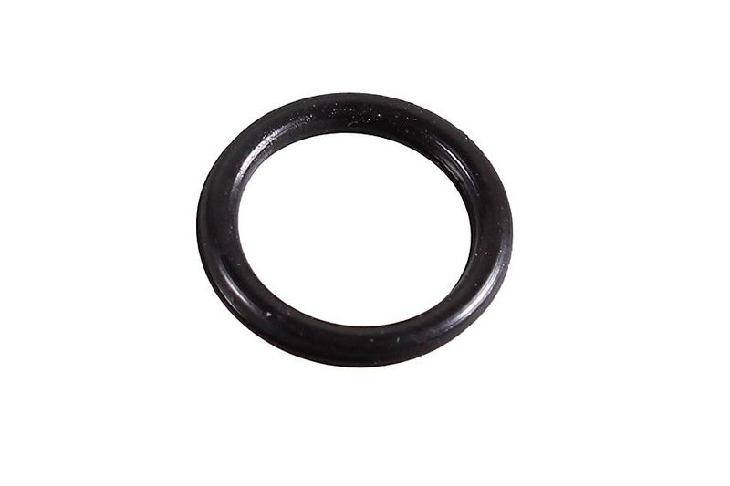 Seal Ring, charger