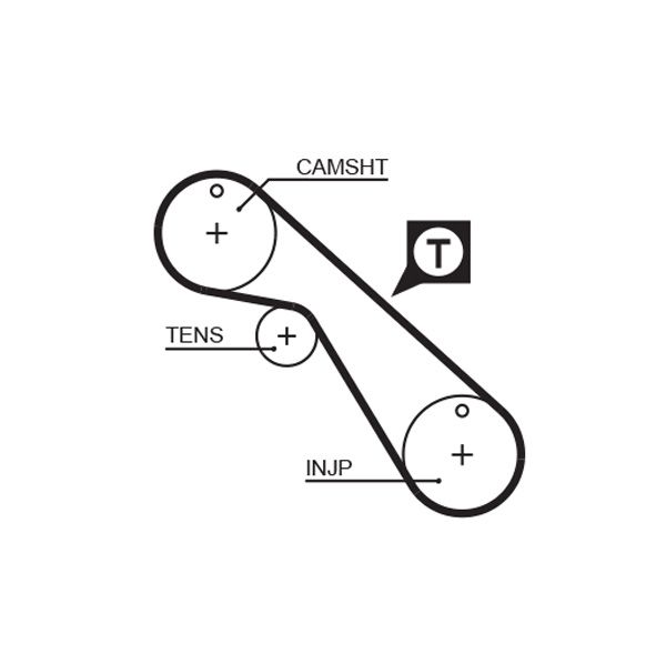 Timing Belt