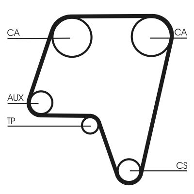 Timing Belt