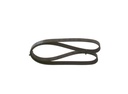 V-ribbed Belt