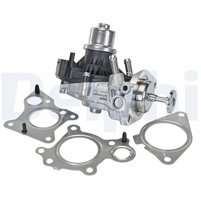 EGR Valve