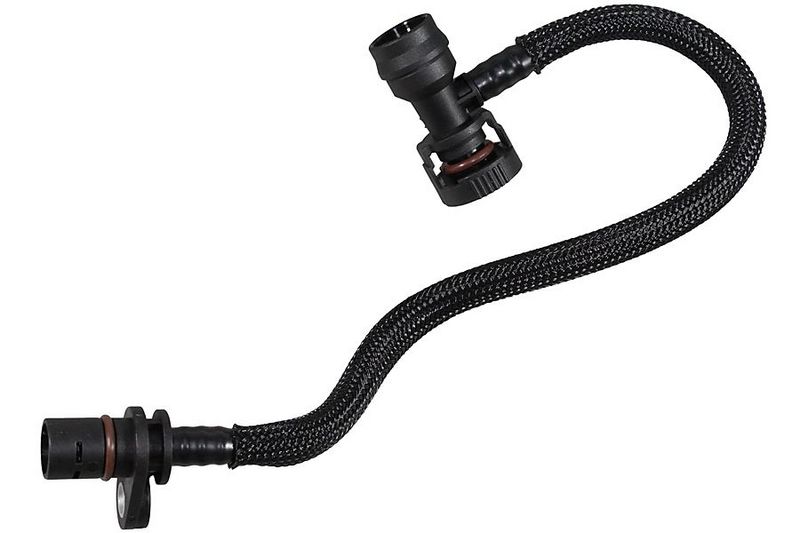 Hose, crankcase ventilation