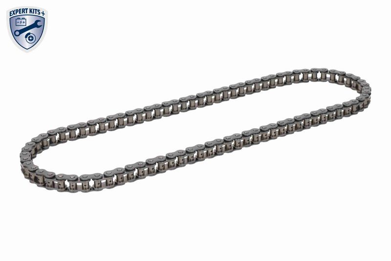 Timing Chain