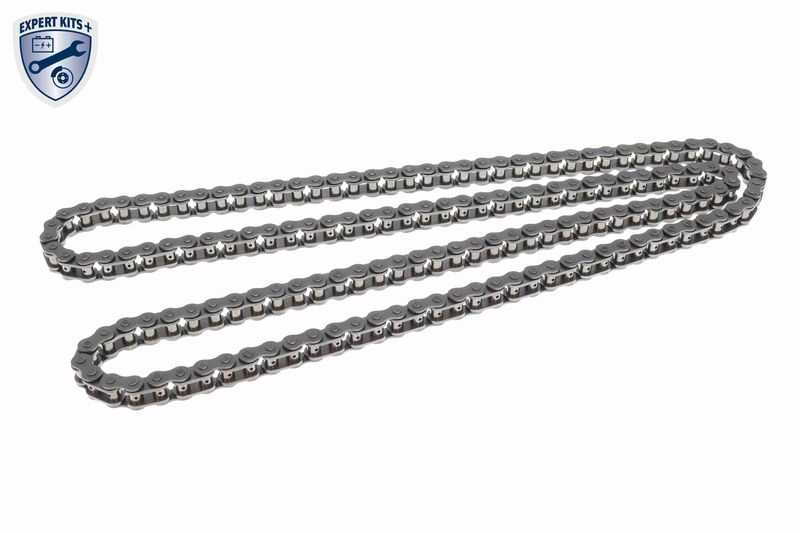 Timing Chain