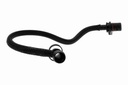 Hose, crankcase ventilation