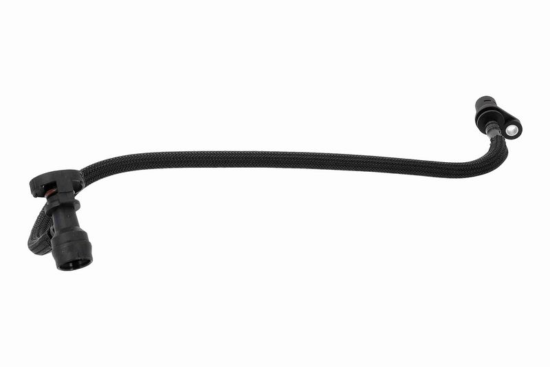 Hose, crankcase ventilation