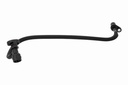 Hose, crankcase ventilation