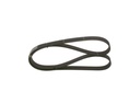 V-ribbed Belt