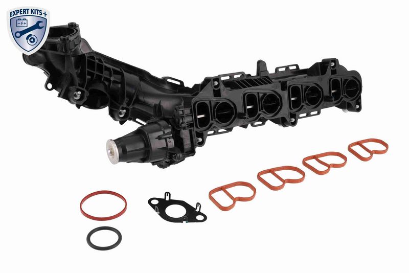 Intake Manifold Module