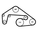 Water Pump + V-ribbed Belt Kit