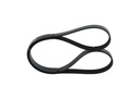 V-ribbed Belt