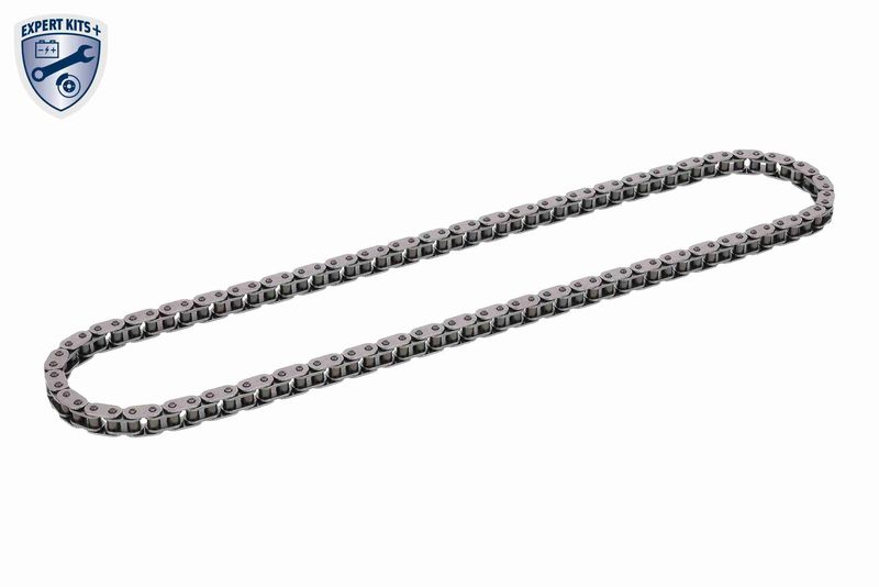 Timing Chain