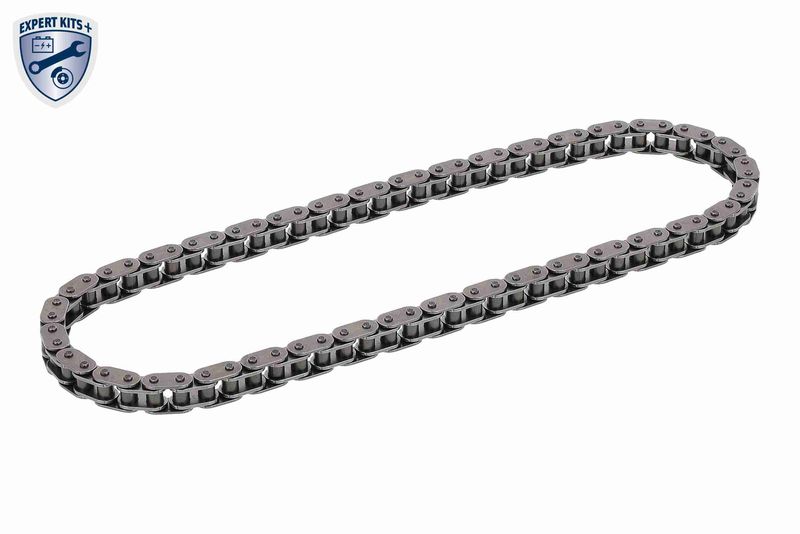 Timing Chain