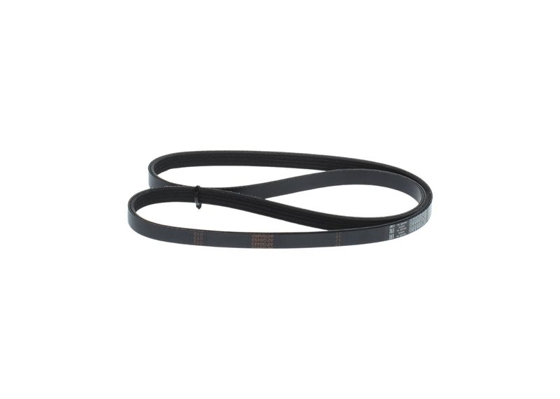 V-ribbed Belt
