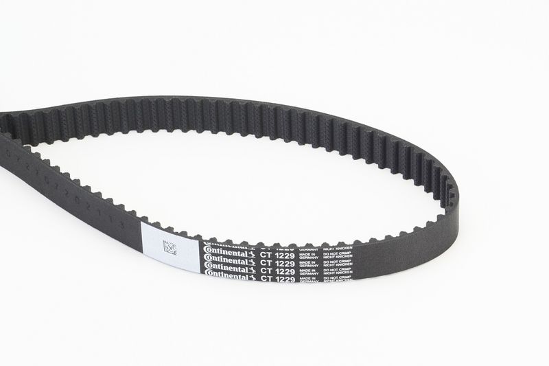 Timing Belt