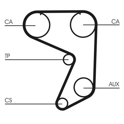 Timing Belt