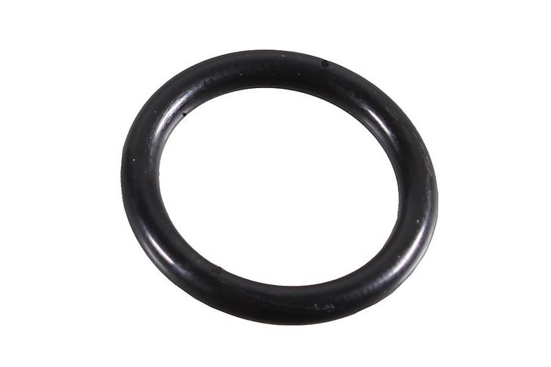 Seal Ring, oil line