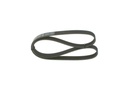 V-ribbed Belt