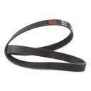 V-ribbed Belt