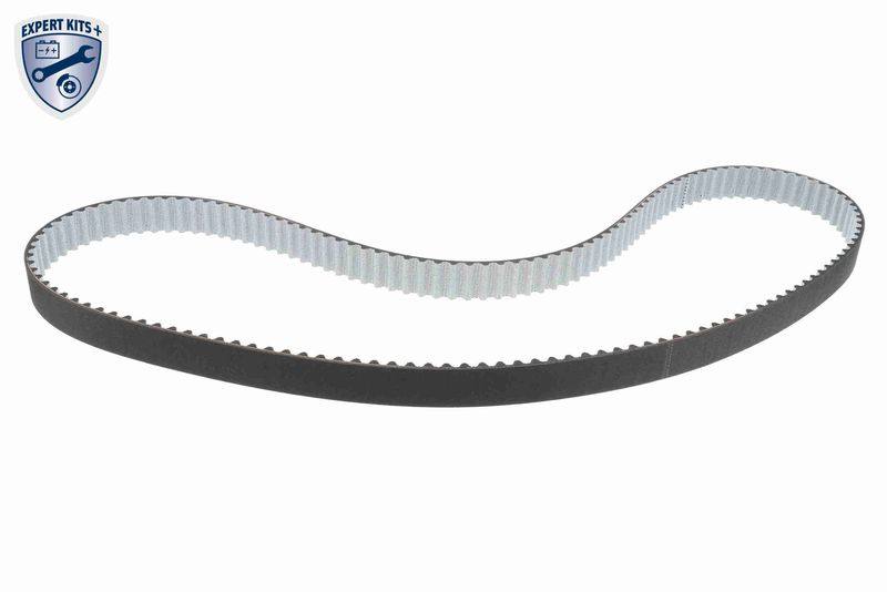 Timing Belt