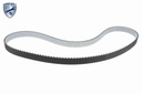 Timing Belt